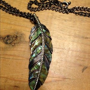 Fossil Feather Abalone Colored Necklace 
